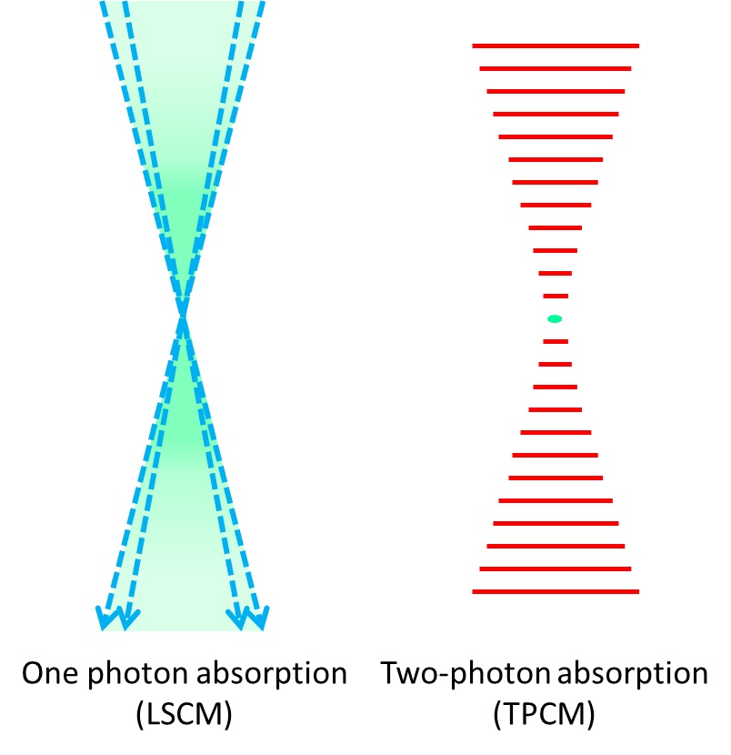 photon absorption